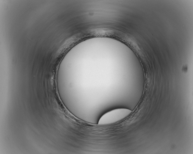 X0000089660357200706210735