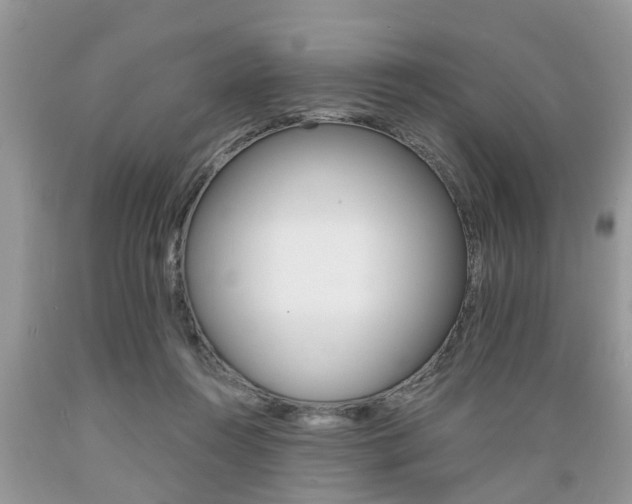 X0000089660360200706210735