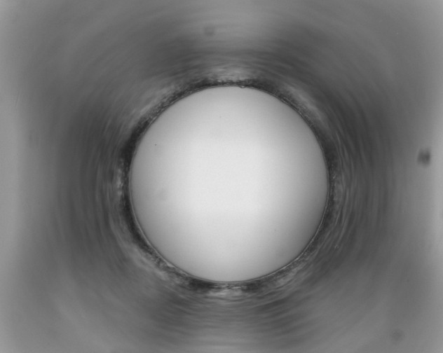 X0000089660362200706210735