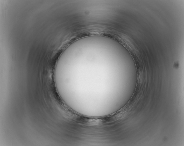 X0000089660363200706210735
