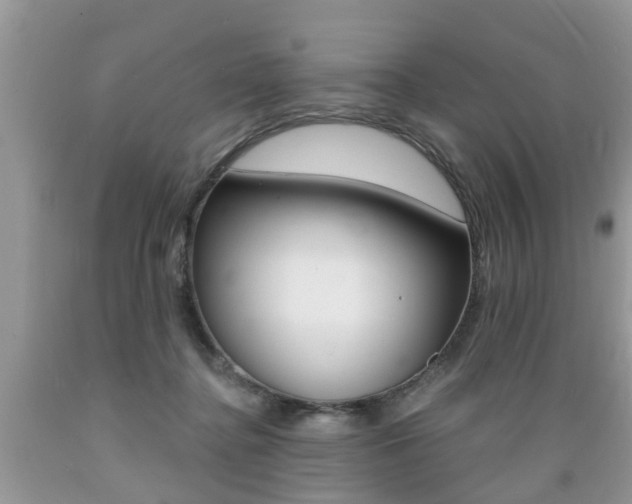 X0000089660364200706210735