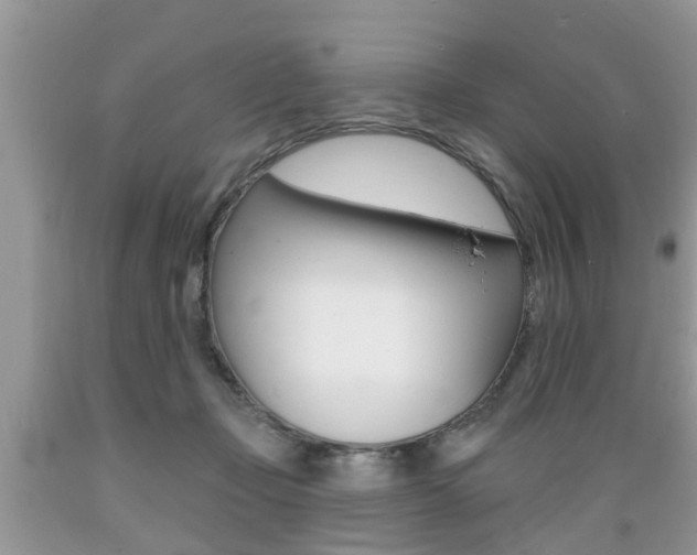 X0000089660365200706210735
