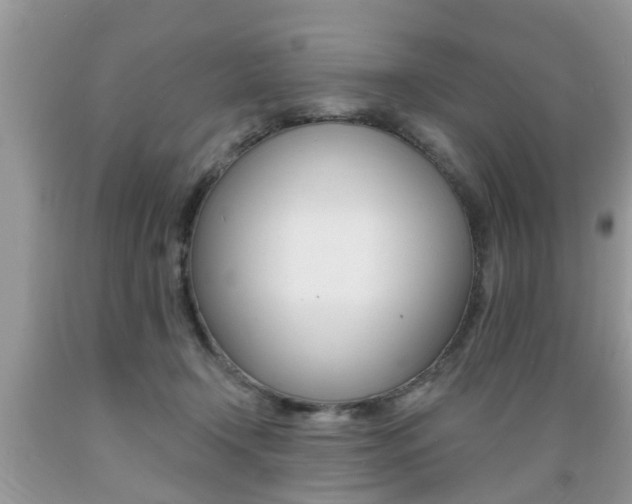 X0000089660366200706210735