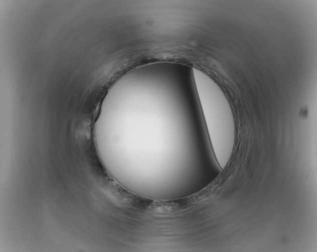 X0000089660368200706210736