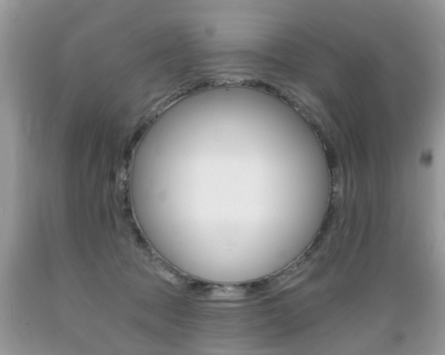 X0000089660369200706210736