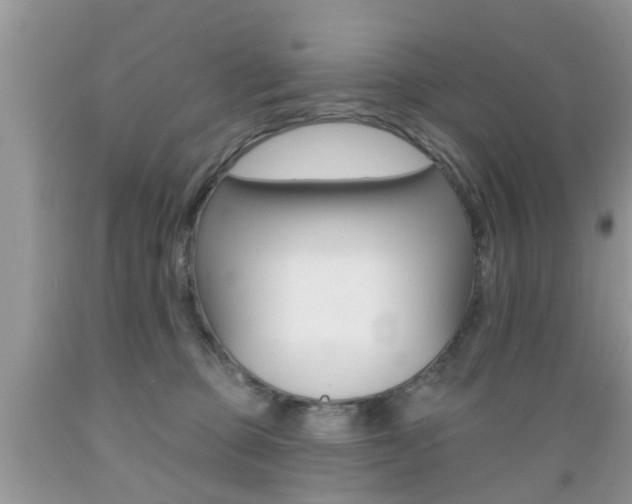 X0000089660373200706210736
