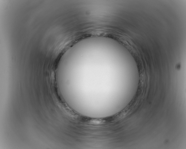 X0000089660375200706210736