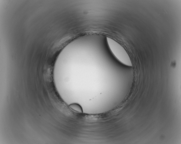 X0000089660378200706210736