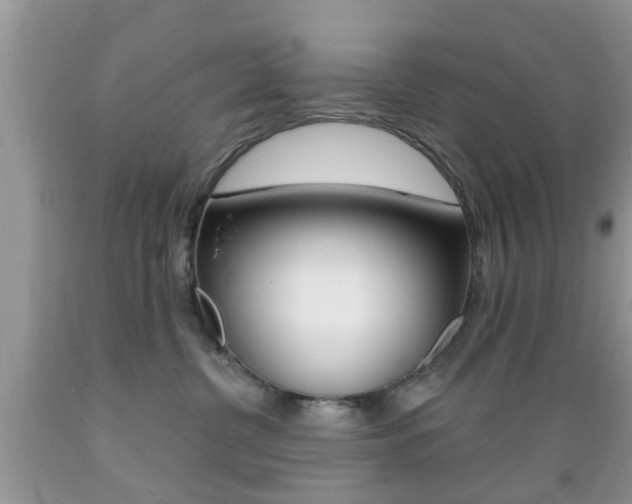 X0000089660380200706210736