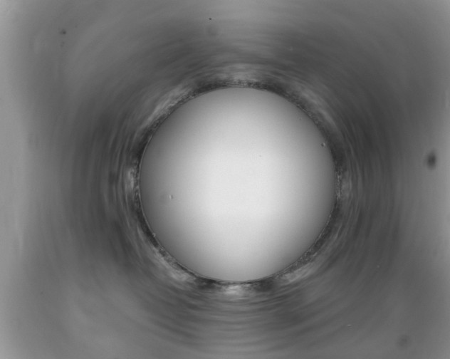 X0000089660382200706210736