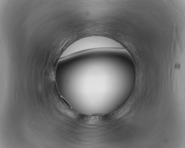 X0000089660384200706210736