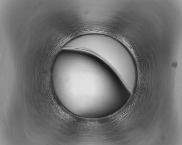 X0000089660385200706210735