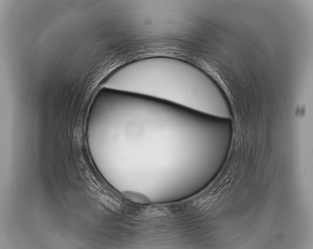 X0000089660386200706210735