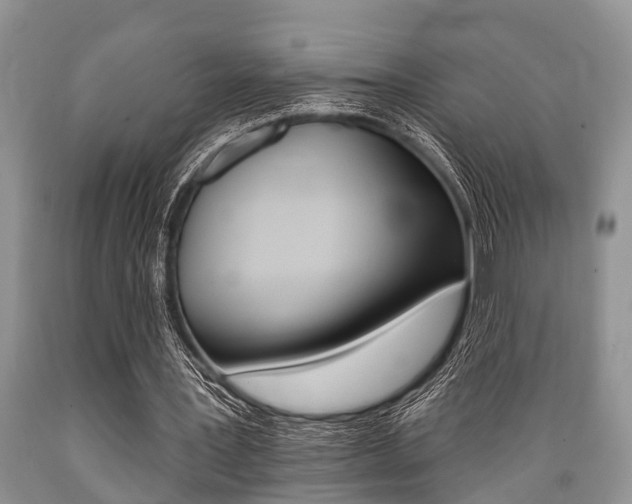 X0000089660387200706210735