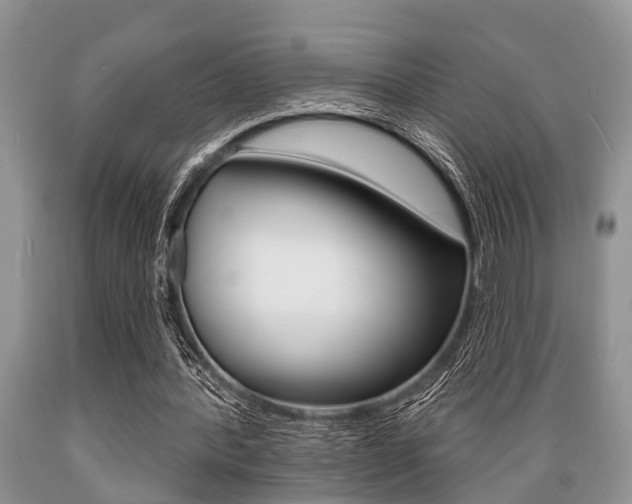 X0000089660388200706210735