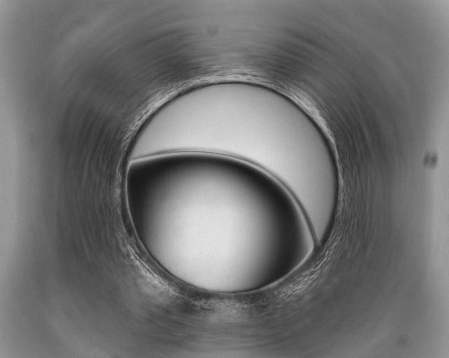 X0000089660389200706210735