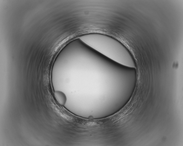 X0000089660390200706210735