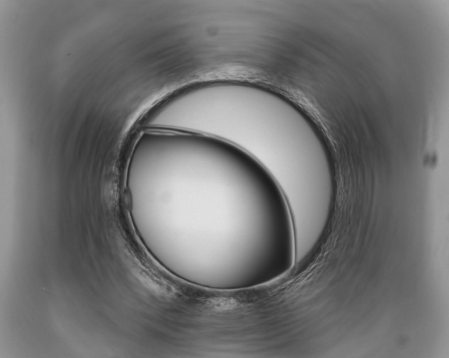 X0000089660392200706210735