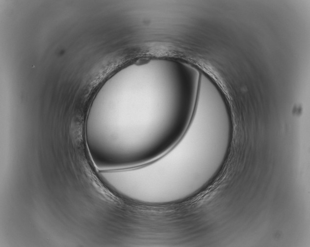 X0000089660393200706210735