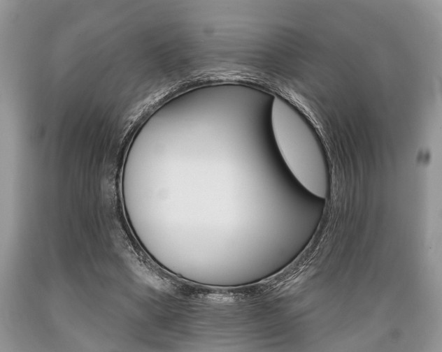 X0000089660394200706210735