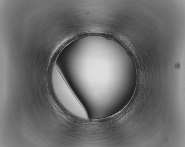 X0000089660395200706210735