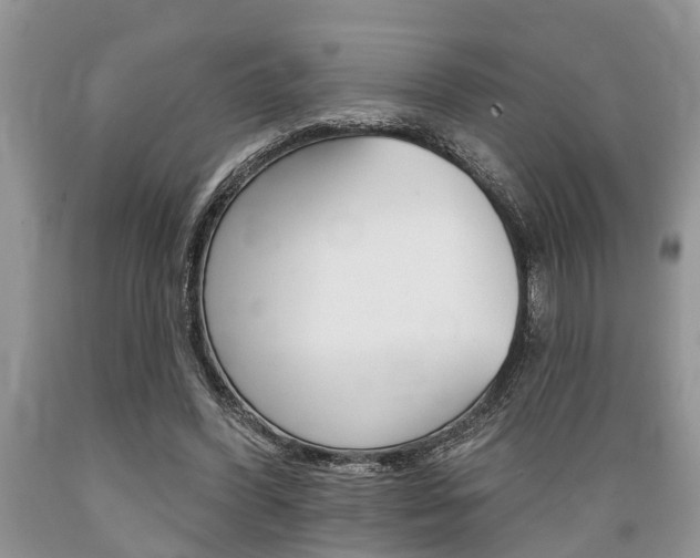 X0000089660396200706210735