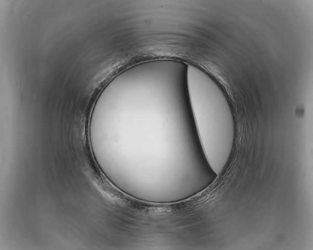 X0000089660398200706210735