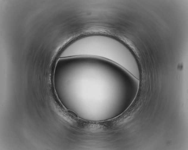 X0000089660399200706210735