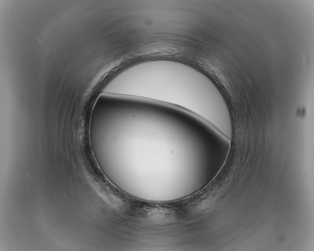 X0000089660400200706210735