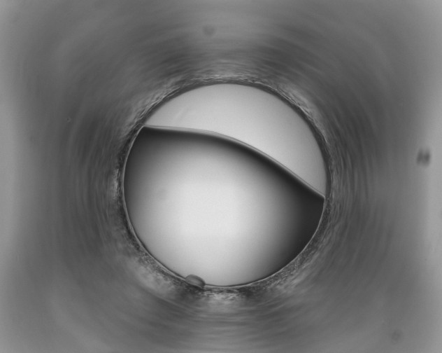 X0000089660401200706210735