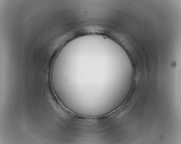 X0000089660402200706210735