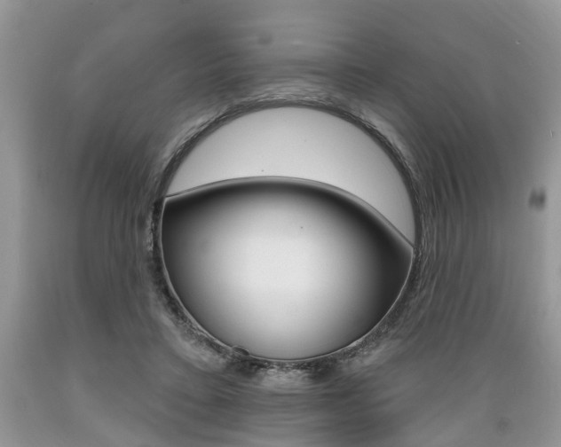 X0000089660403200706210735
