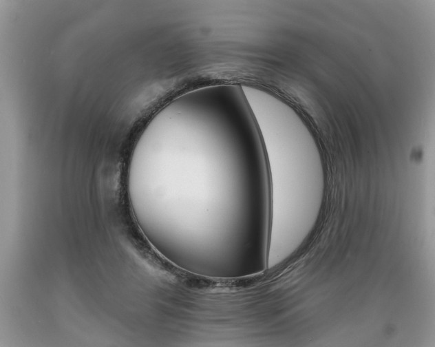 X0000089660404200706210735