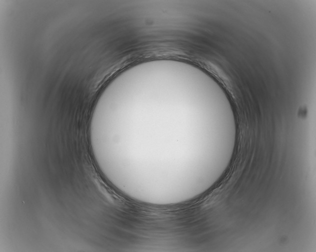X0000089660405200706210735