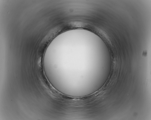 X0000089660406200706210735