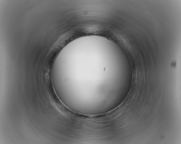 X0000089660408200706210735