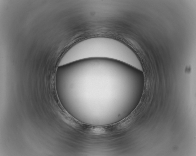 X0000089660409200706210735