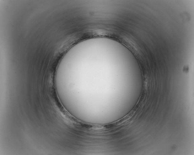 X0000089660410200706210735