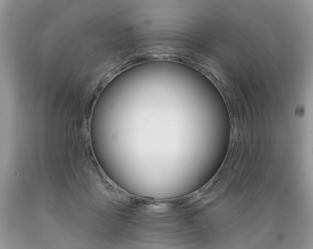 X0000089660411200706210735