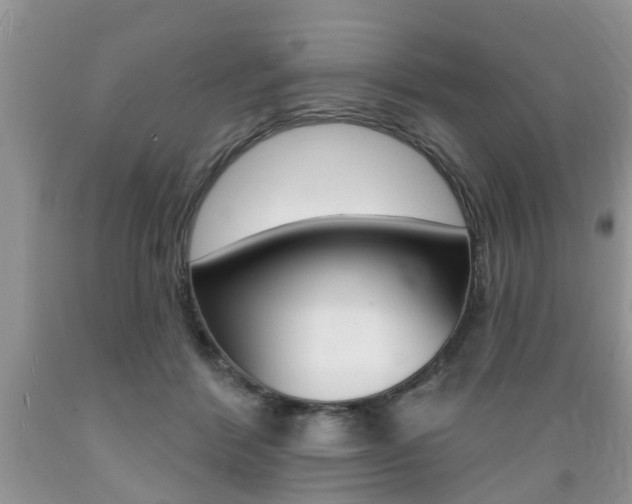 X0000089660412200706210735