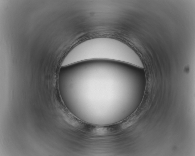 X0000089660413200706210735