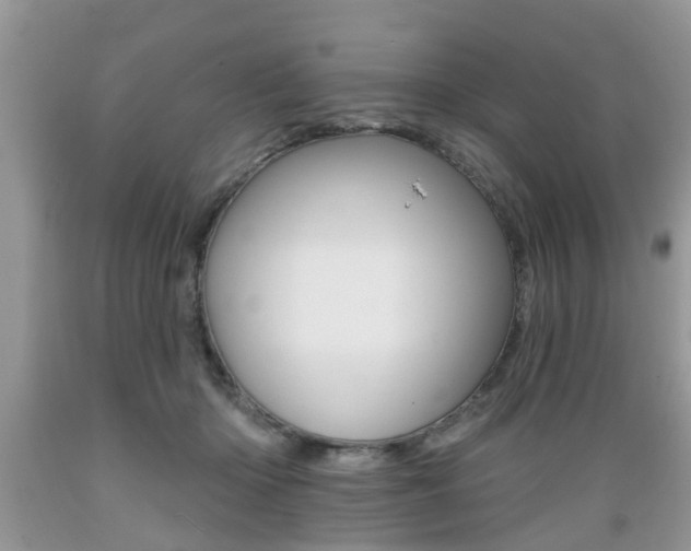 X0000089660414200706210735