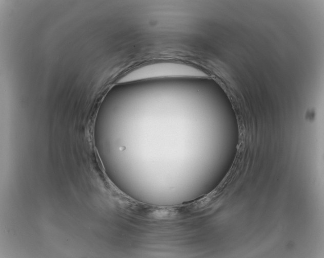 X0000089660415200706210735
