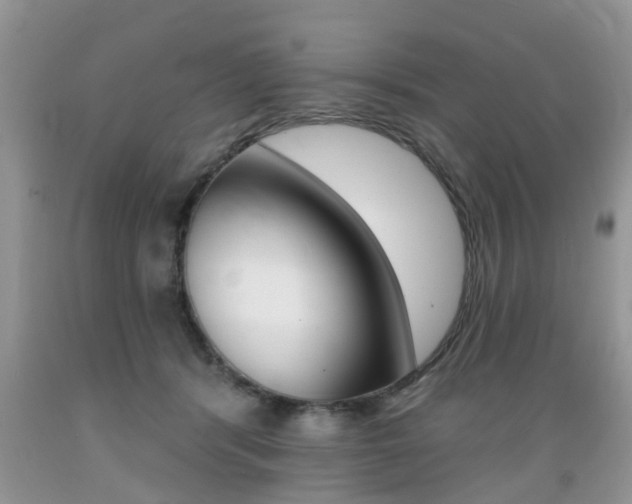 X0000089660416200706210735
