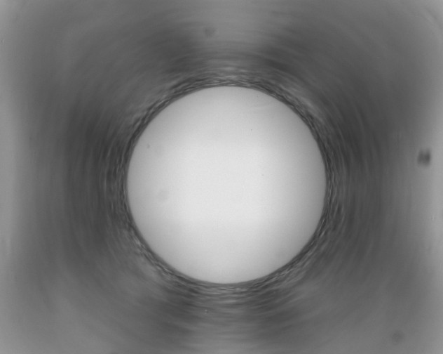 X0000089660417200706210735