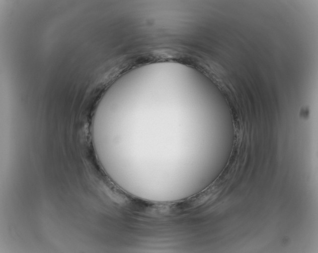X0000089660418200706210735