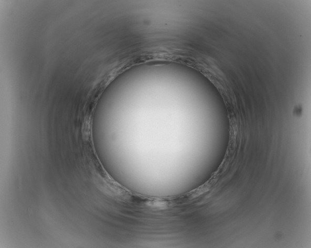 X0000089660419200706210734