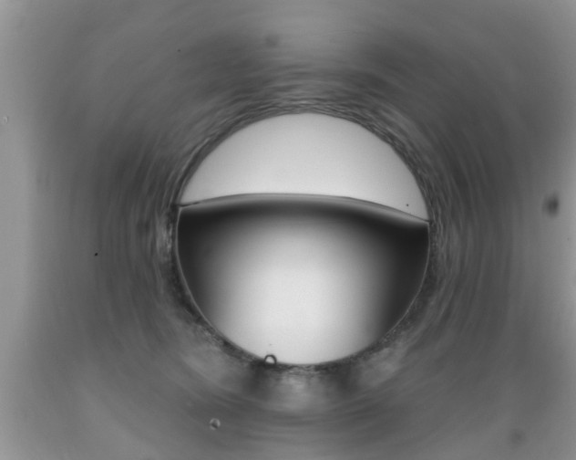 X0000089660420200706210734