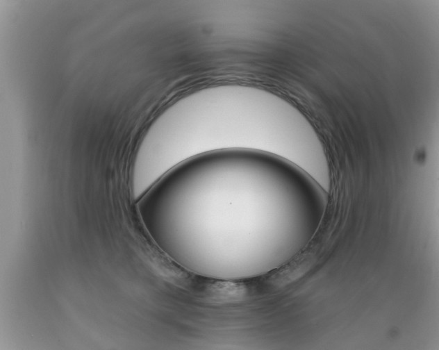 X0000089660421200706210734