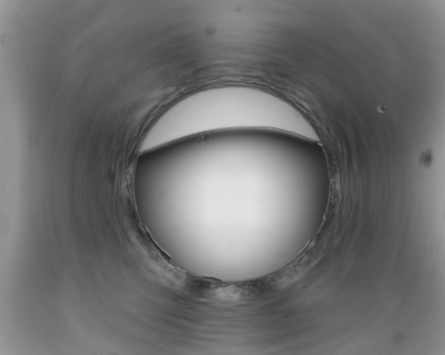 X0000089660423200706210734